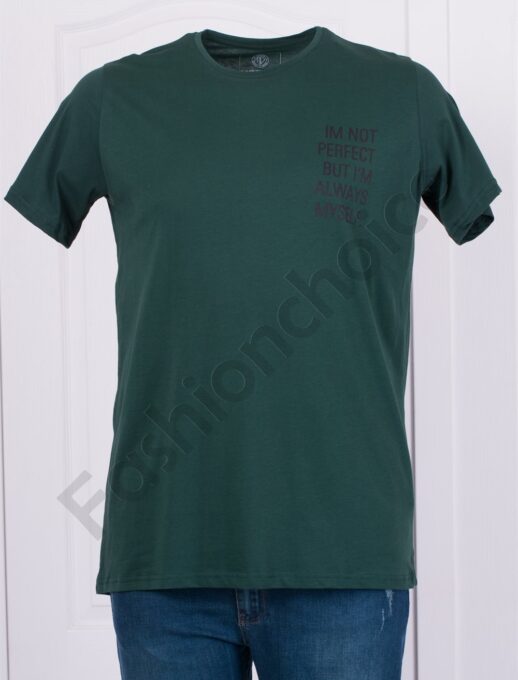 Plus Size ανδρικό T-shirt με επιγραφή-πράσινο-κωδ 22147-1