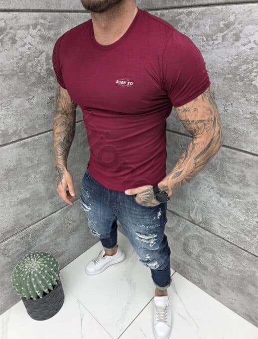 Ανδρική μπλούζα κοντομάνικη Slim fit-μπορντό-κωδ 261009-7