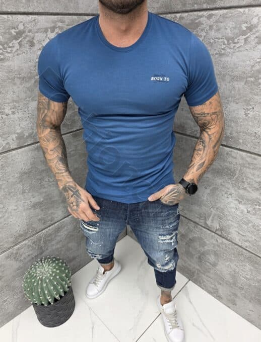 Ανδρική μπλούζα κοντομάνικη Slim fit-μπλε ραφ-κωδ 261009-8